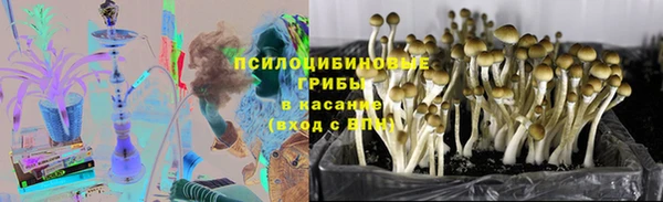 СК Арсеньев