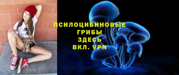 СК Арсеньев