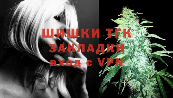 СК Арсеньев