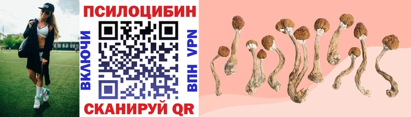 закладка Пудож нарко площадка клад Псилоцибиновые грибы GOLDEN TEACHER